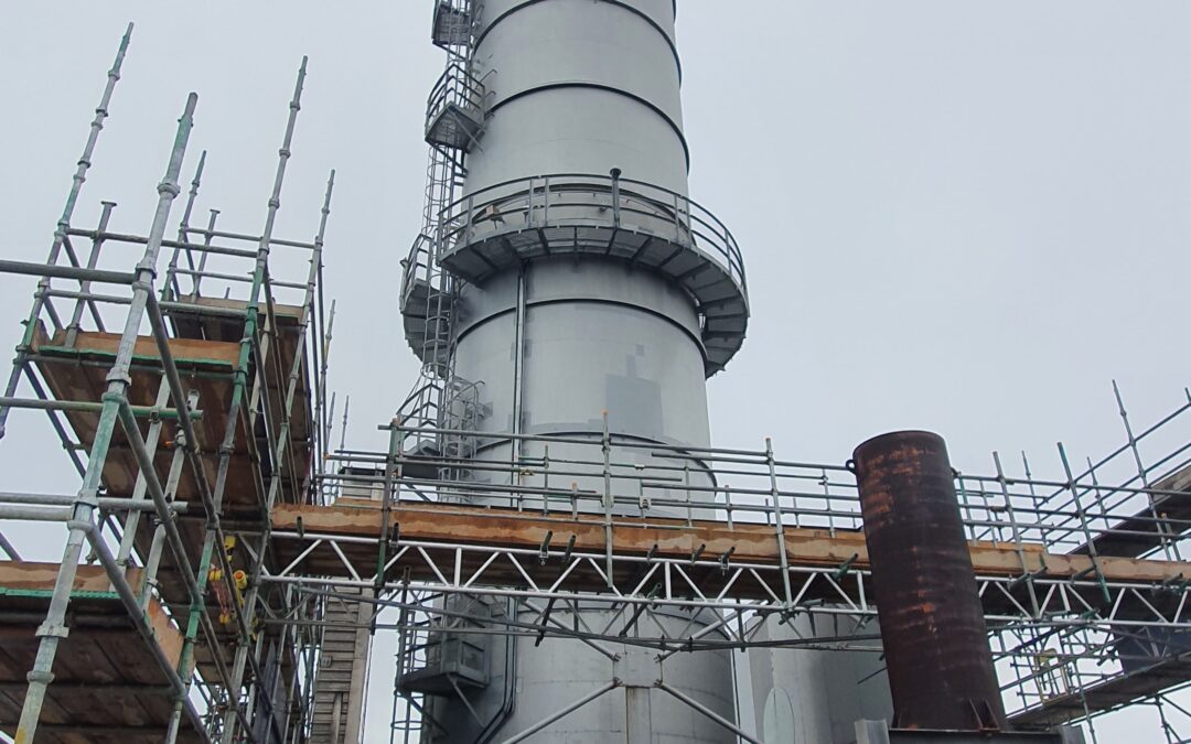 Pigeon Guano Treatment in Newhaven Power Station 2021