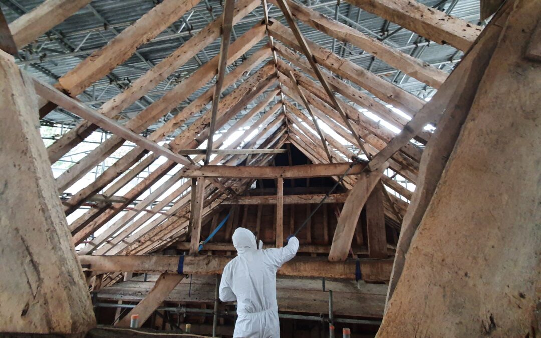 Industrial Pigeon Guano Cleaning in Barn Crowborough 2020