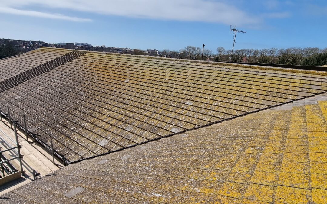 Roof Cleaning and Moss Removal in Seahaven Primary School 2019