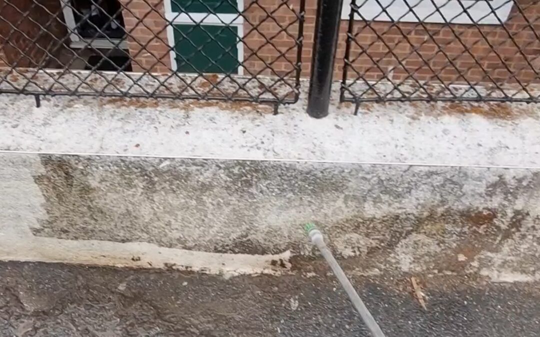 Render Cleaning in Hastings 2019
