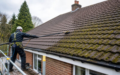 Roof Cleaning and Moss Removal: When to Call a Specialist