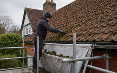 Soft Washing, Render and Roof Cleaning for Sussex Properties
